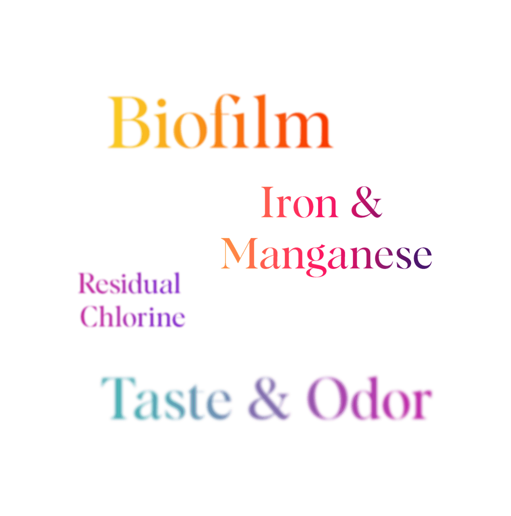 Water quality problems - Biofilm, Iron & Manganese, Residual Chlorine, Taste & Odor