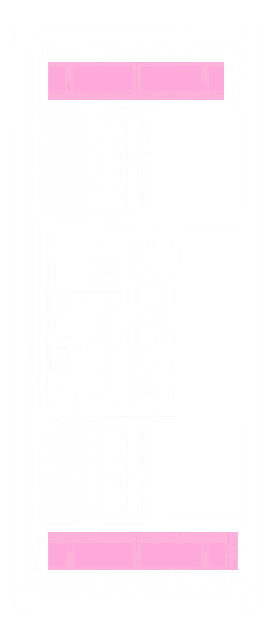 PX 16000 DUO top-view technical drawing with the electrolyzer units highlighted